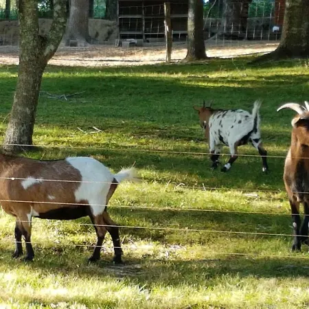 Gîte Pigerot Lucbardez-et-Bargues Buitenkant foto